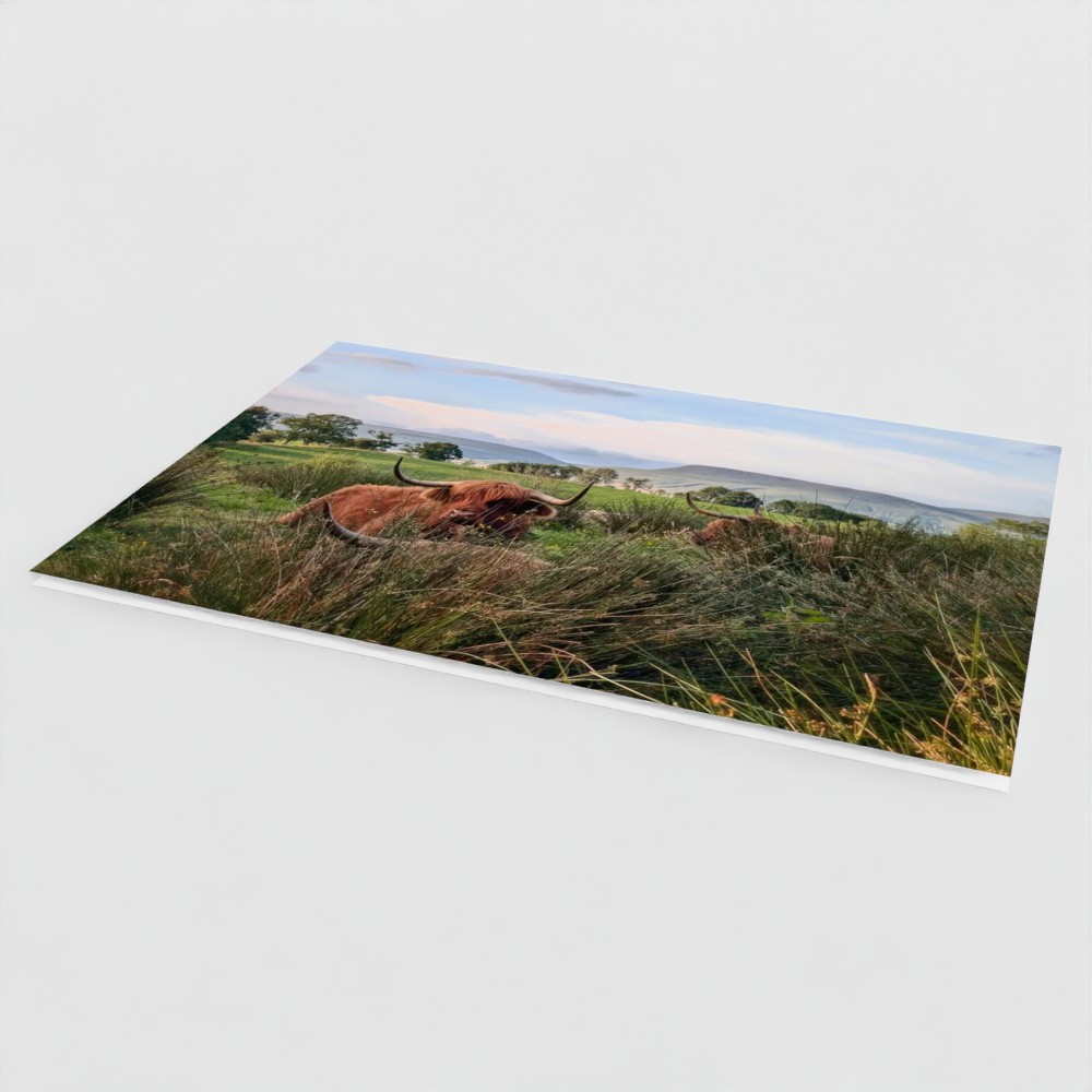 Among the Rushes - Image 2