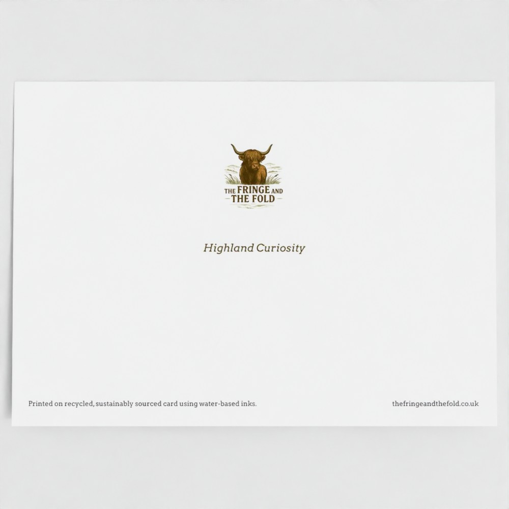 Highland cow greetings card - Highland Curiosity - view of back